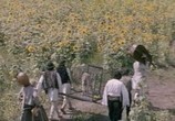 Сцена из фильма Лаутары / Lautarii (1973) Лаутары сцена 4