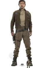 kassian andor video list звездные войны на телефон бесплатно