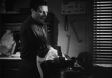 Фильм Собачья жизнь / Vita da cani (1950) - cцена 1