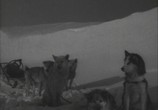 Сцена из фильма Алитет уходит в горы (1949) Алитет уходит в горы сцена 3