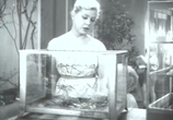 Сцена из фильма Братья Комаровы (1961) 
