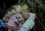 Сцена из фильма Смерть на автостопе / Smrt stoparek (1979) Смерть на автостопе сцена 1