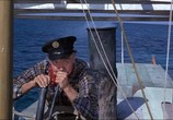Фильм Новые приключения Флиппера / Flipper's New Adventure (1964) - cцена 5