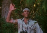 Сцена из фильма Женщины-каннибалы в смертельных джунглях авокадо / Cannibal women in the avocado jungle of death (1989) Женщины-каннибалы в смертельных джунглях авокадо сцена 2