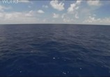 Сцена из фильма Discovery: Погружение на дно Океана / Dive To The Bottom Of The World (2010) 