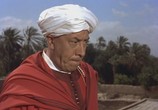 Фильм Али-Баба и сорок разбойников / Ali Baba et les quarante voleurs (1954) - cцена 4