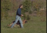 ТВ Собаки от А до Я: Немецкая овчарка / Dogs from A to Z: German shepherd dog (1996) - cцена 2