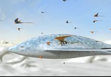 Сцена из фильма Битва за планету Терра / Battle for Terra (2009) Битва за планету Терра 3D
