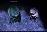 Сцена из фильма Тарбозавр 3D: Новый рай / Jeombaki hanbandoui gongryong 2: saeroun nakwon (2017) Тарбозавр 3D: Новый рай сцена 6