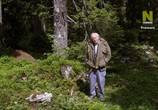 Сцена из фильма Муравьиная гора с Дэвидом Аттенборо / David Attenborough's Ant Mountain (2017) Муравьиная гора с Дэвидом Аттенборо сцена 11