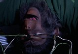 Сцена из фильма Планета обезьян 4: Покорение планеты обезьян / Conquest of the Planet of the Apes (1972) Планета обезьян 4: Покорение планеты обезьян сцена 2