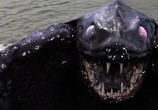 Сцена из фильма Чудовища Берингова моря / Bering Sea Beast (2013) Чудовища Берингова моря сцена 1