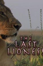National Geographic: Последняя львица