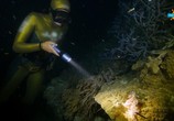 ТВ Фридайвинг на Большом Барьерном рифе / Ultimate Freedive: The Great Barrier Reef (2016) - cцена 7