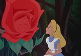 Мультфильм Алиса в стране чудес / Alice in Wonderland (1951) - cцена 6