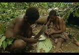 Сцена из фильма Жизнь по законам джунглей. Камерун / The Last Hunters in Cameroon (2013) Жизнь по законам джунглей. Камерун сцена 9