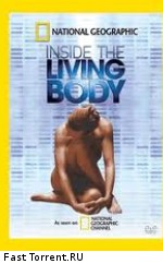 National Geographic: Внутри живого тела