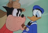 Сцена из фильма Дональд Дак - Большая Коллекция [36 серий] / Donald and Pluto (1936) Дональд Дак - Большая Коллекция [36 серий] сцена 2