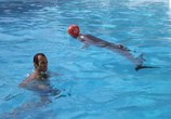 Сцена из фильма Инструктор по плаванию / Le maître-nageur (1979) Инструктор по плаванию сцена 12