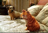 Сцена из фильма Гарфилд: Дилогия / Garfield: Dilogy (2004) 