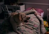 Сцена из фильма Больше чем щенячья любовь / More Than Puppy Love (2002) 