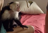 Сцена из фильма Летучие обезьяны / Flying Monkeys (2013) Летучие обезьяны сцена 2