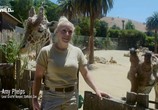 Сцена из фильма На прогулке с жирафами / Walking with Giraffes (2017) На прогулке с жирафами сцена 6