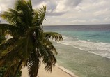 Сцена из фильма Секрет Сейшельских островов: Даррос / Secret Seychelles D’Arros (2014) Секрет Сейшельских островов: Даррос сцена 6