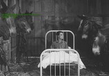 Сцена из фильма Пароходный Билл / Steamboat Bill, Jr. (1928) Пароходный Билл сцена 7