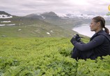 Сцена из фильма BBC: Мир природы. Исландия: Дикая жизнь / Natural World. Iceland a Wild Life (2015) BBC: Мир природы. Исландия: Дикая жизнь сцена 7