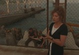 Сцена из фильма Черное море 213 / Black Sea 213 (1998) Черное море 213 сцена 3