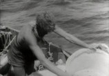 Сцена из фильма Кон-Тики / Kon-Tiki (1950) Кон-Тики сцена 4