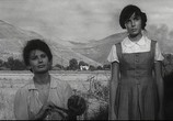 Сцена из фильма Чочара / La ciociara (1960) Чочара сцена 4