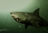 Сцена из фильма Акульи плотины / Dam Sharks (2016) Акульи плотины сцена 2