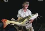 Сцена из фильма National Geographic: Охотник на пресноводных гигантов / Fish warrior (2011) 