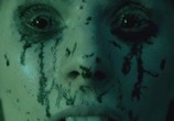 Сцена из фильма Существо из бездны / The Creature Below (2016) Существо из бездны сцена 2