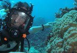Сцена из фильма На морской глубине: Большой барьерный риф / Under The Sea: The Great Barrier Reef (2018) На морской глубине: Большой барьерный риф сцена 10