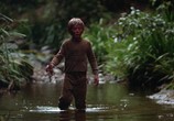 Сцена из фильма Землянин / The Earthling (1980) Землянин сцена 8