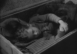 Сцена из фильма Чук и Гек (1953) Чук и Гек сцена 3