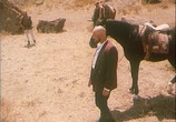 Сцена из фильма Тот, кто нежнеe (1996) Тот, кто нежнеe сцена 3