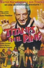 Titanes en el ring (1973)