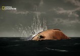 Сцена из фильма National Geographic: Кто потопил Бисмарк? / National Geographic: Who sank the Bismarck? (2010) National Geographic: Кто потопил Бисмарк? сцена 4