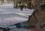 Сцена из фильма Смертельный холод / Dead Cold (1995) Смертельный холод сцена 15