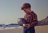 Сцена из фильма Мальчик и пираты / The Boy and the Pirates (1960) Мальчик и пираты сцена 3