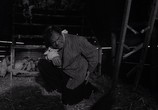 Сцена из фильма Тупик / Cul-de-sac (1966) Тупик сцена 3