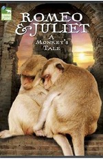 Romeo & Juliet: A Monkey's Tale