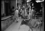 Сцена из фильма Непокоренный / Aparajito (1956) 