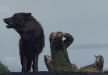 Сцена из фильма National Geographic: Человек-волк / National Geographic: The Wolfman (2006) 