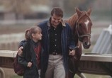Сцена из фильма Лошадь для Дэнни / A Horse for Danny (1995) Лошадь для Дэнни сцена 18