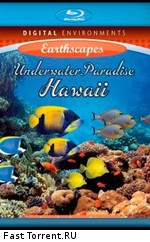 Живые пейзажи. Подводный мир Гавайи